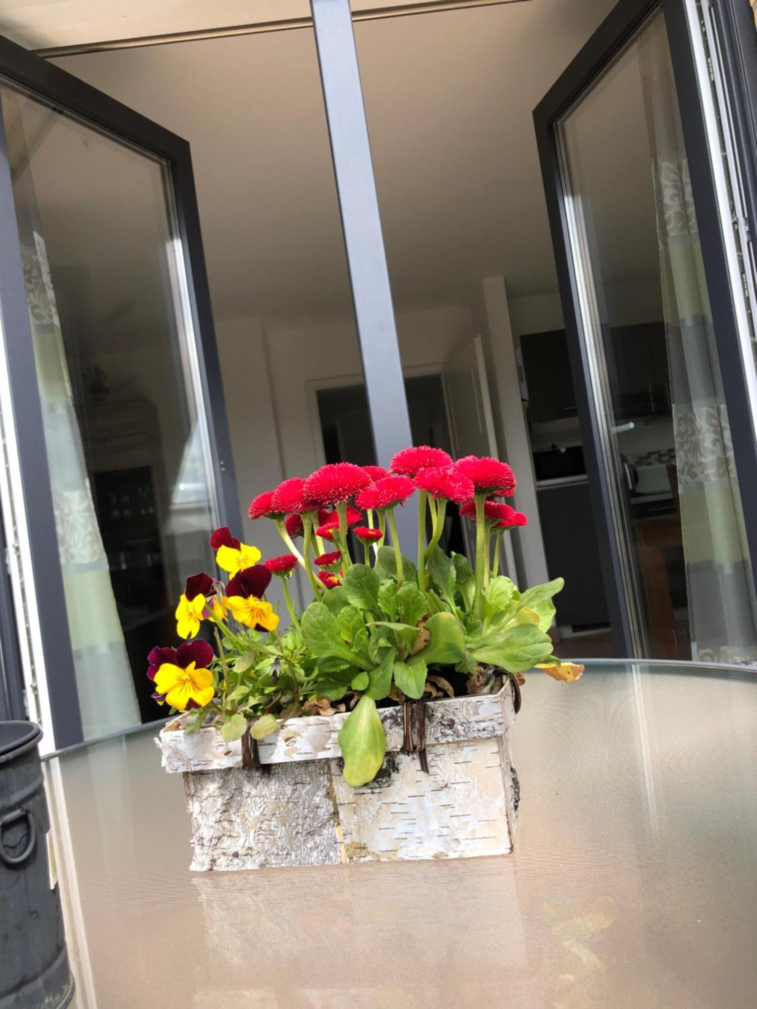 Haus Hanni Priepert Esterno foto